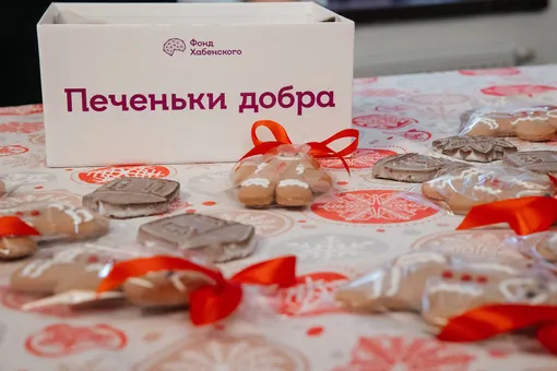 Запущена благотворительная онлайн-игра «Печеньки добра»