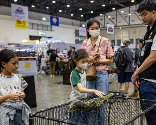 животные животные