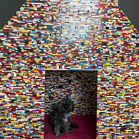 В Канаде женщина собирает из Lego собачьи будки для своих питомцев. Высота одной из таких — почти 2 метра В Канаде женщина собирает из Lego собачьи будки для своих питомцев. Высота одной из таких — почти 2 метра