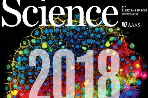 Главные достижения и провалы науки за 2018 год