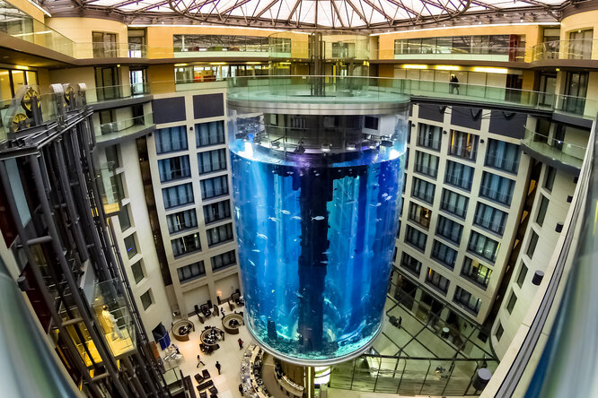 В Берлине лопнул самый большой в мире цилиндрический аквариум