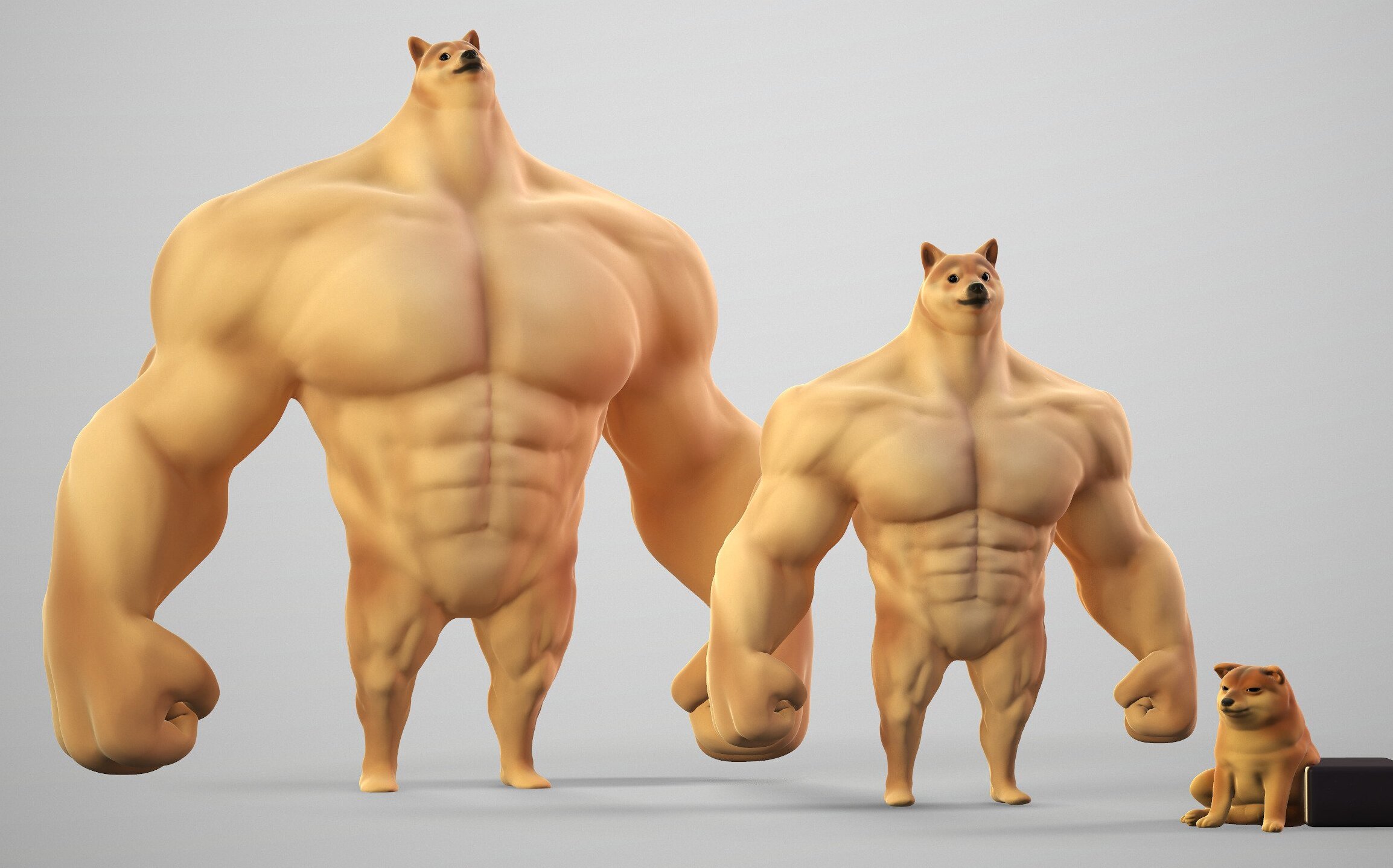 Мем кот качок