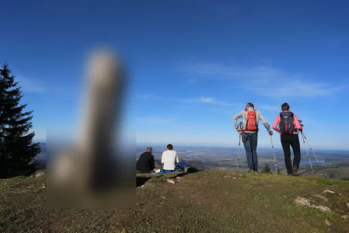 В Баварии со склона горы пропала двухметровая статуя пениса. Местные жители ее очень любят, хоть и не знают, как она там появилась
