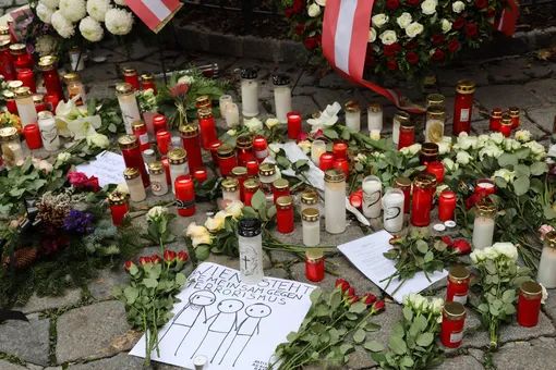 Среди задержанных по делу о теракте в Вене есть выходцы из России