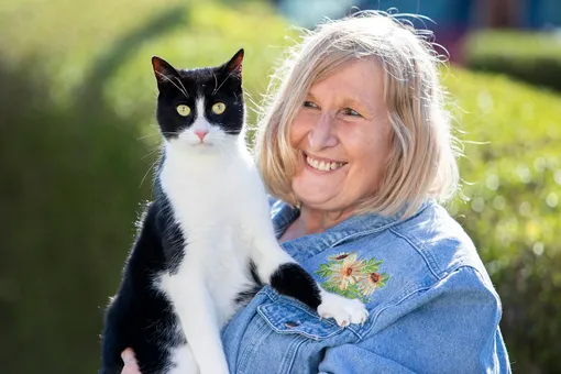 В Британии котом года признали беспородного Зебби. Он предупреждает слабослышащую хозяйку о звонке телефона и даже приносит почту