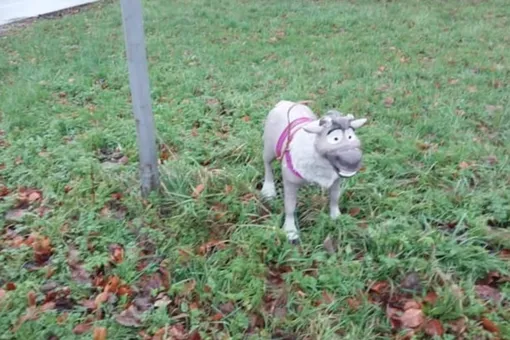 В Англии полиция получила сообщение о брошенной собаке. «Питомец» оказался игрушечным северным оленем В Англии полиция получила сообщение о брошенной собаке. «Питомец» оказался игрушечным северным оленем