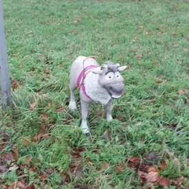 В Англии полиция получила сообщение о брошенной собаке. «Питомец» оказался игрушечным северным оленем