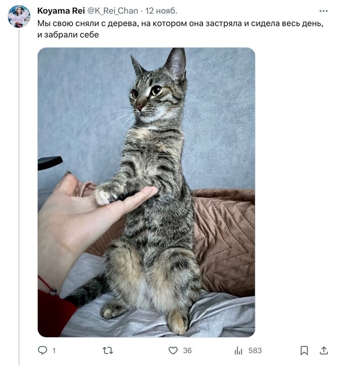 Соцсети Соцсети
