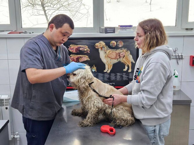 песни 2019. рапунцель дом 2 участница. маша писаренко дом 2. дом 2 приход бичан. дом 2 новая жизнь участники.
