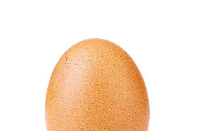 «Яйцо треснуло»: в инстаграме* world_record_egg появилось новое фото яйца