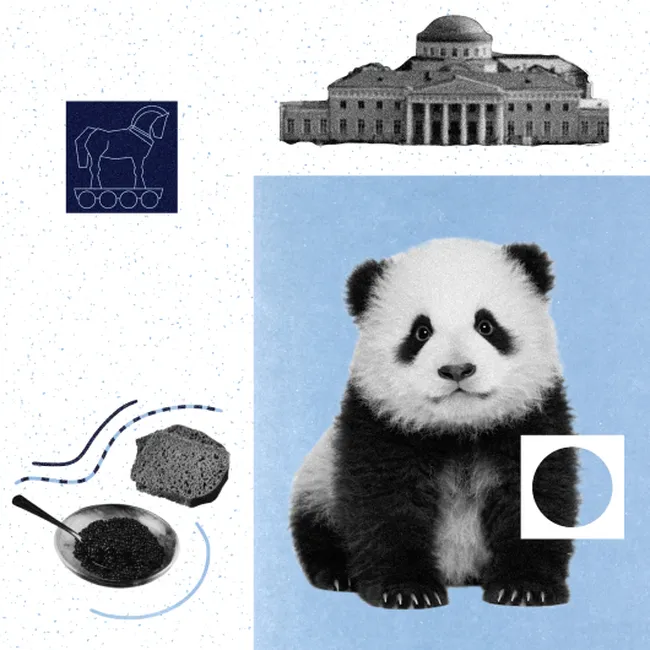 Земли, панды, два дворца: как менялись подарки и их смысл сквозь века (Samsung)