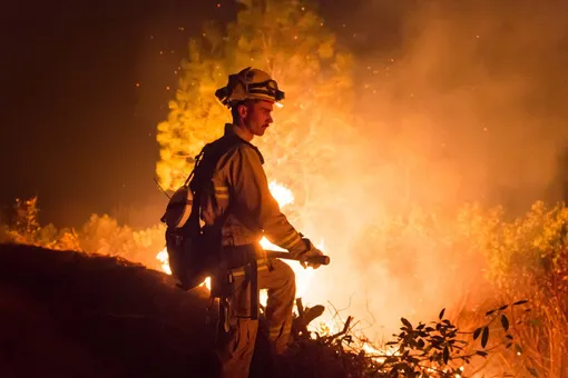 Более 1000 человек пропали без вести в Калифорнии, где бушует самый крупный пожар в истории штата