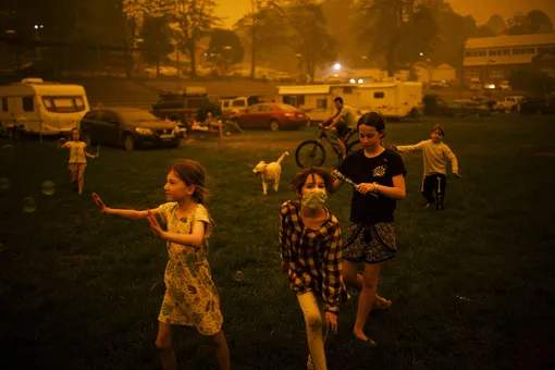 Bushfire Evacuation Center