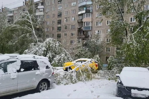 В сети делятся кадрами майского снегопада, обрушившегося на Москву и Подмосковье В сети делятся кадрами майского снегопада, обрушившегося на Москву и Подмосковье