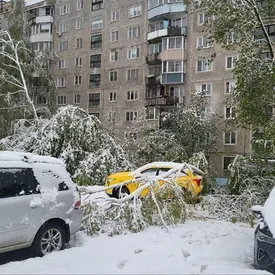 В сети делятся кадрами майского снегопада, обрушившегося на Москву и Подмосковье
