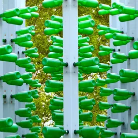 Крупнейшим поставщиком пива в Россию стал Китай