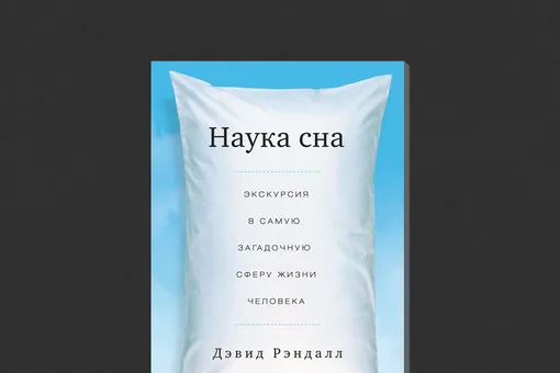 Дэвид Рэндалл. «Наука сна»