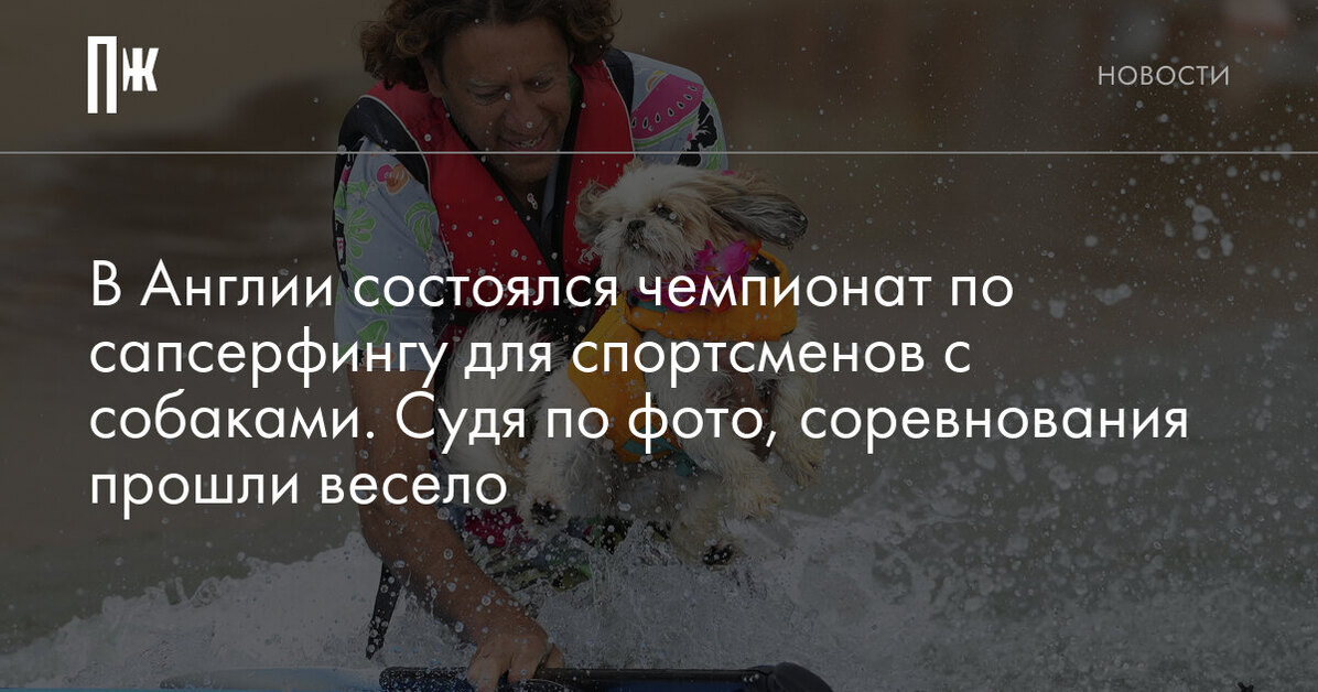 В Англии состоялся чемпионат по сапсерфингу для спортсменов с собаками. Судя по фото, соревнования прошли весело