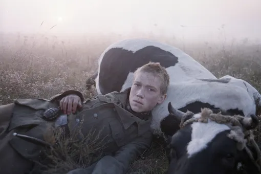 Collider составил топ-10 фильмов о войне Collider составил топ-10 фильмов о войне