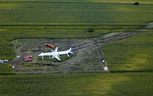 A Russian Ural Airlines' A321 plane is seen after an emergency landing in a cornfield near Ramenskoye, outside Moscow, Russia, Friday, Aug. 16, 2019. Russian President Vladimir Putin on Friday awarded the nation's highest medal, the Hero of Russia, to the pilot who managed to smoothly land his disabled passenger plane in a cornfield after a flock of birds hit both engines and knocked them out.