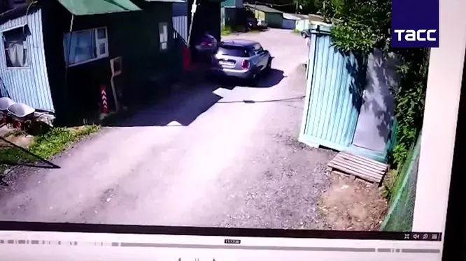 Смотреть