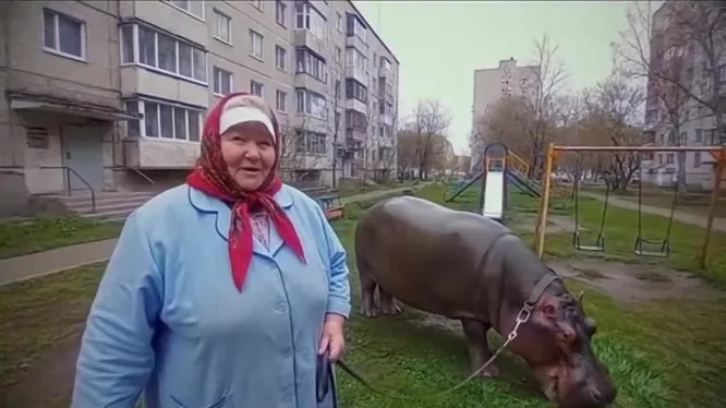 Смотреть