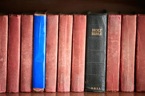 В Германии издали Библию, адаптированную для зумеров. Текст Священного Писания сократили на 15%