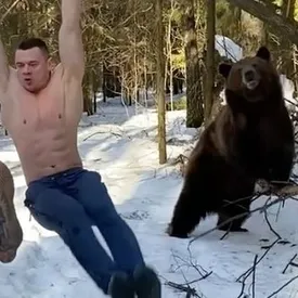 На Reddit завирусилось видео из России, где двое спортсменов тренируются в лесу вместе с медведем. Иностранцы просят объяснить, что происходит На Reddit завирусилось видео из России, где двое спортсменов тренируются в лесу вместе с медведем. Иностранцы просят объяснить, что происходит
