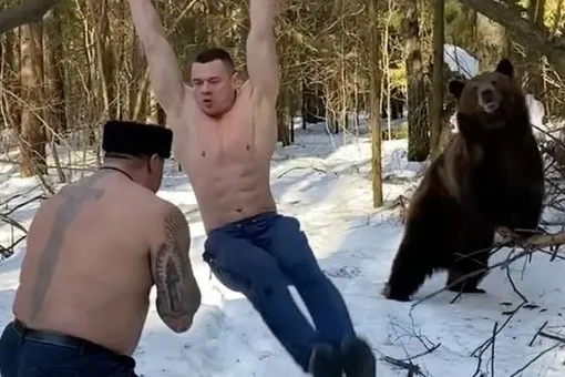 На Reddit завирусилось видео из России, где двое спортсменов тренируются в лесу вместе с медведем. Иностранцы просят объяснить, что происходит На Reddit завирусилось видео из России, где двое спортсменов тренируются в лесу вместе с медведем. Иностранцы просят объяснить, что происходит