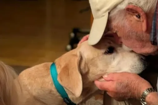 93-летний мужчина смог найти потерявшуюся собаку благодаря запаху носков 93-летний мужчина смог найти потерявшуюся собаку благодаря запаху носков