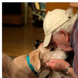 93-летний мужчина смог найти потерявшуюся собаку благодаря запаху носков