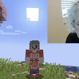 81-летняя бабушка из Калифорнии помогает оплачивать лечение внука, зарабатывая на стримах Minecraft