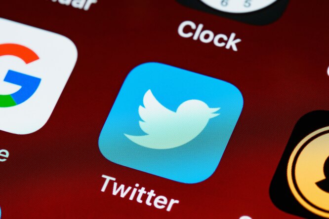 «Просто рекламная кампания» по продвижению VPN: пользователи Twitter делятся мемами о вероятной блокировке соцсети