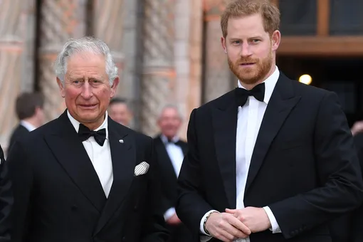 СМИ: Принц Чарльз не планирует встречаться со своим сыном Гарри, который прилетит в Великобританию на открытие памятника принцессе Диане в июле