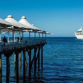 Ученые во время погружения открыли два новых морских вида — светящуюся акулу и фарфорового краба