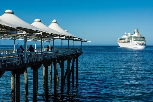 Ученые во время погружения открыли два новых морских вида — светящуюся акулу и фарфорового краба Ученые во время погружения открыли два новых морских вида — светящуюся акулу и фарфорового краба