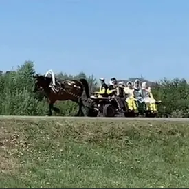 В Башкирии автомобиль снес гужевую повозку. Пять человек пострадали