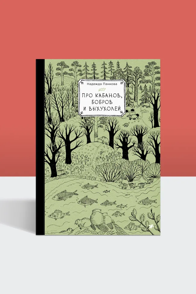 Бобры, плоты и хатки: полевые заметки о жизни животных от лауреата премии «Просветитель»