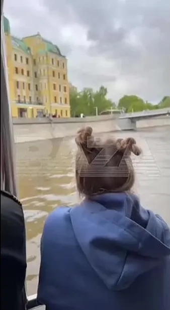 Смотреть
