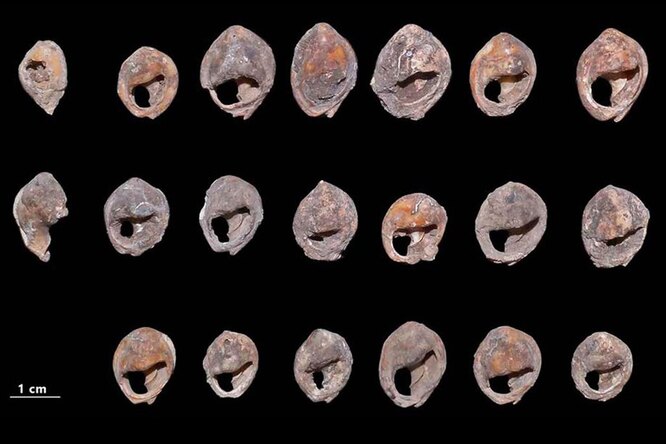 Археологи нашли древнейшее украшение в истории — ему около 150 000 лет Археологи нашли древнейшее украшение в истории — ему около 150 000 лет