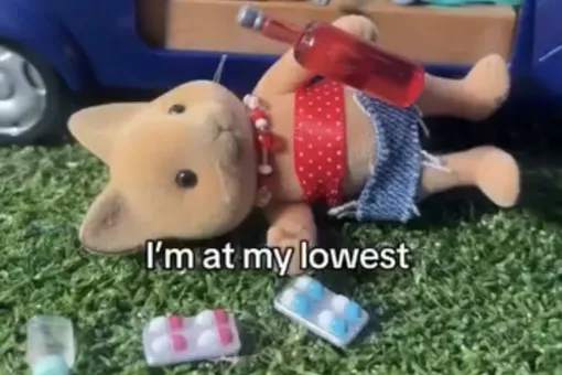 Производитель игрушек Sylvanian Families подал в суд на блогершу, которая снимала компрометирующие ролики с их изделиями