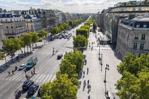 Елисейские Поля в Париже превратят в «необыкновенный сад» к 2030 году