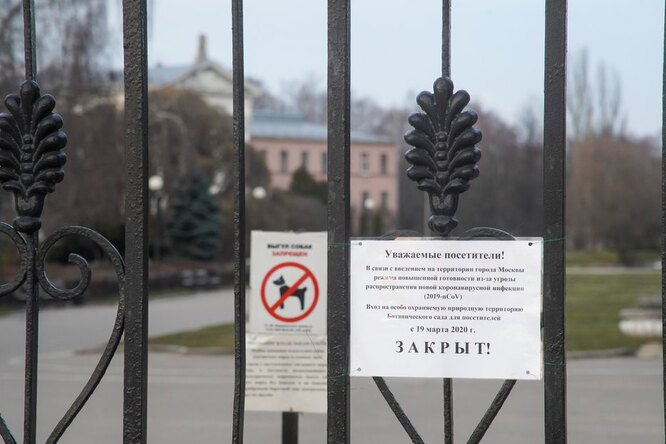 Зоозащитники предупредили, что более 10 тысяч животных могут погибнуть в Москве из-за режима самоизоляции Зоозащитники предупредили, что более 10 тысяч животных могут погибнуть в Москве из-за режима самоизоляции