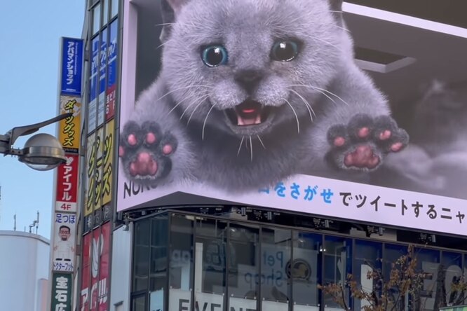 Помните огромного мяукающего 3D-кота на торговом центре в Токио? Теперь вместо него — серый котенок, который прыгает за жареной рыбой и танцует