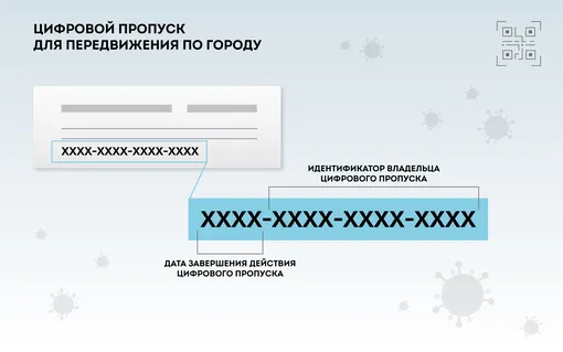 Выглядит пропуск так — это комбинация из 16 цифр и букв. Первые 4 цифры — дата окончания действия документа, остальные 12 — зашифрованная информация о вас