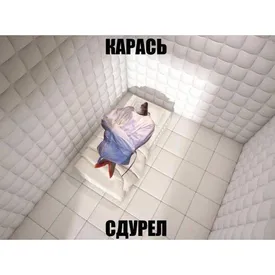 Пользователи соцсетей уже несколько недель «дуреют с прикормки». Объясняем, что это за мем и откуда он взялся