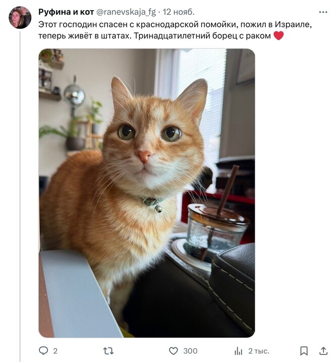 Соцсети Соцсети