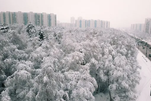 В Москве в новогоднюю ночь все-таки будет снег. Синоптики пообещали жителям столицы «зимний пейзаж»
