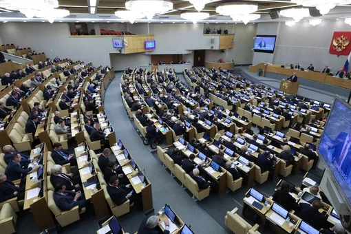 Госдума одобрила в первом чтении законопроект, который дает правительству право вводить режим ЧС