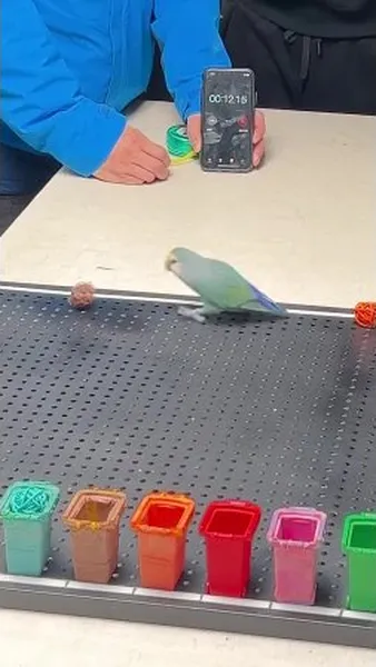 Смотреть